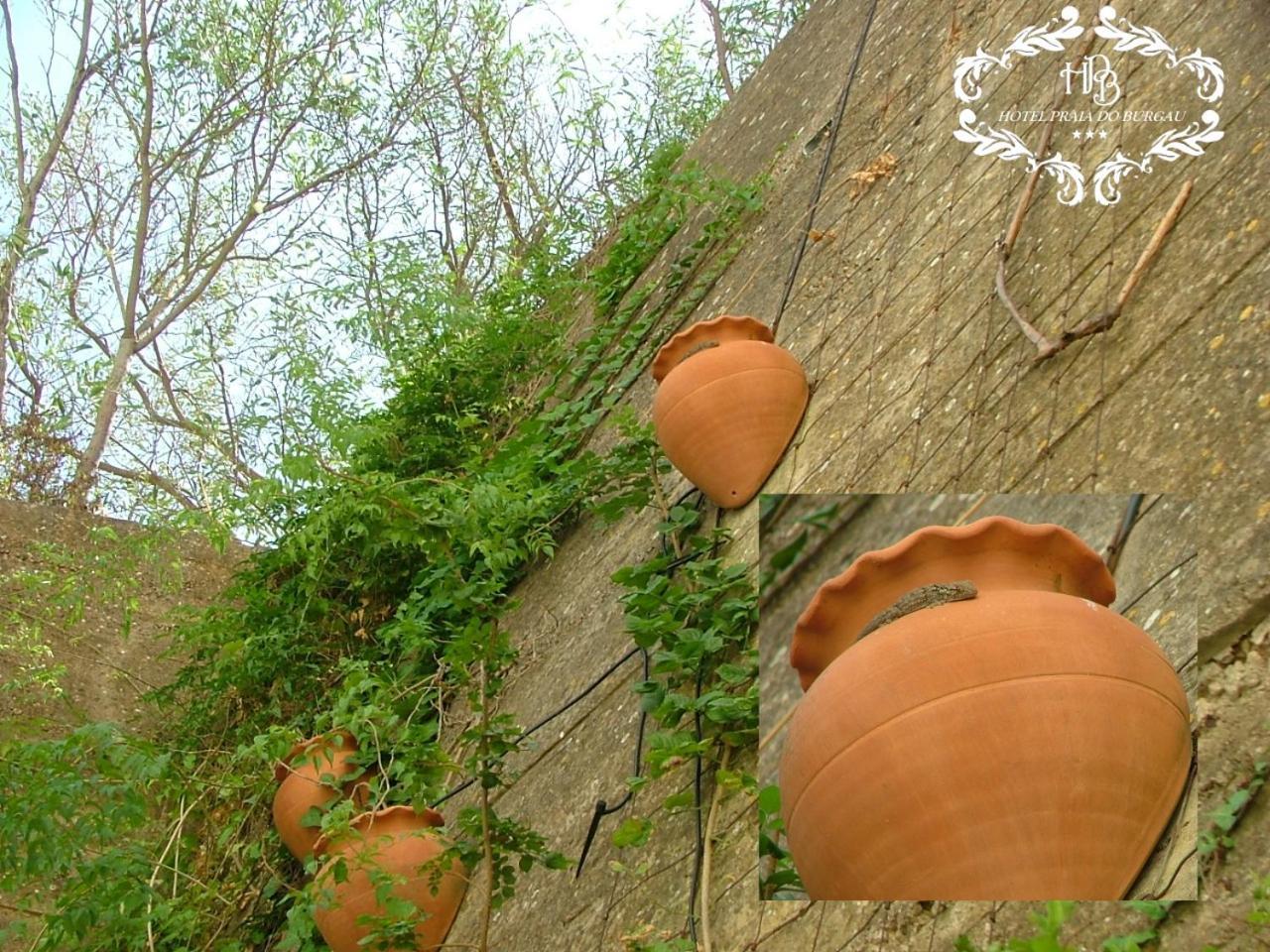 Hotel Burgau Turismo De Natureza Kültér fotó